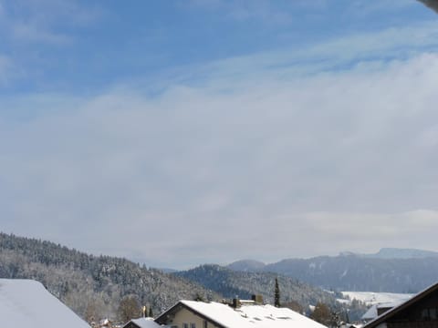 Grün und herzlich Apartment in Oberstaufen