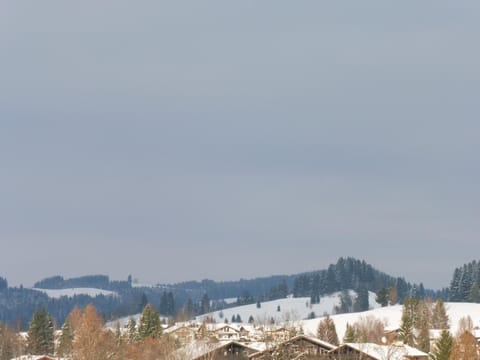 Grün und herzlich Apartment in Oberstaufen