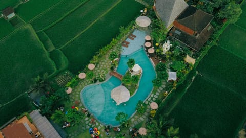 Bird's eye view, Pool view, Swimming pool