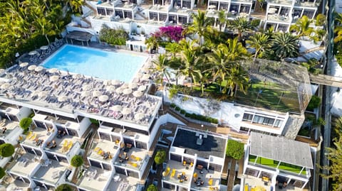 Bird's eye view, Pool view, Swimming pool