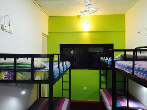 Colombo Downtown Monkey Backpackers Hostel Hostel in Colombo