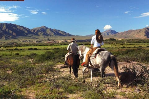 Horse-riding