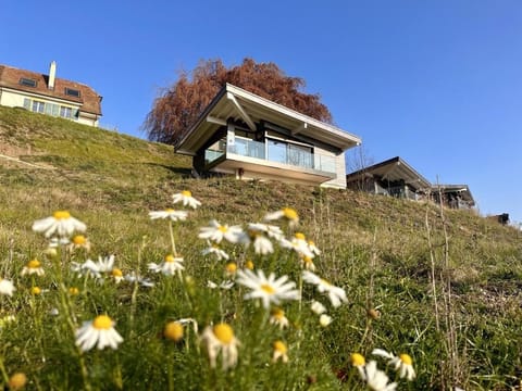 Property building, Spring, Natural landscape, Garden view