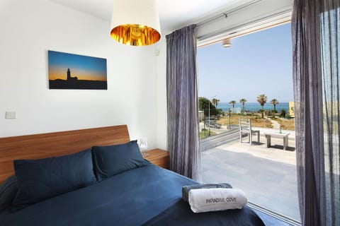 Paradise Cove Luxurious Beach Villas Villa in Paphos