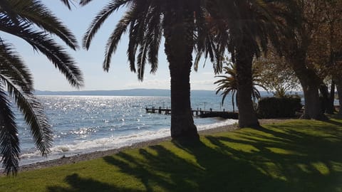 Garden, Beach