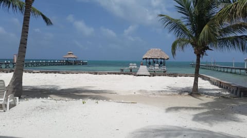 Barefoot Beach Belize Hôtel in Belize District