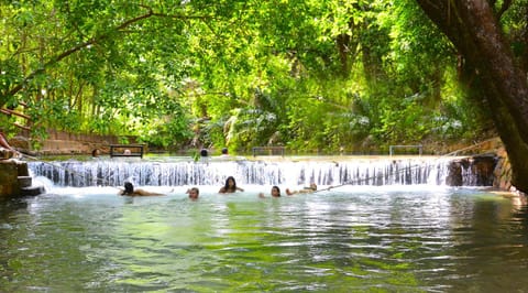 Natural landscape, On site, River view, Swimming pool