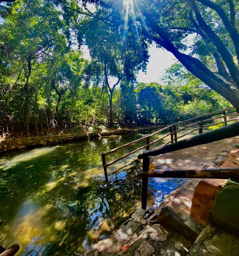 Natural landscape, River view, Swimming pool