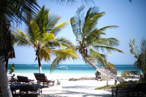 Beach, Sea view