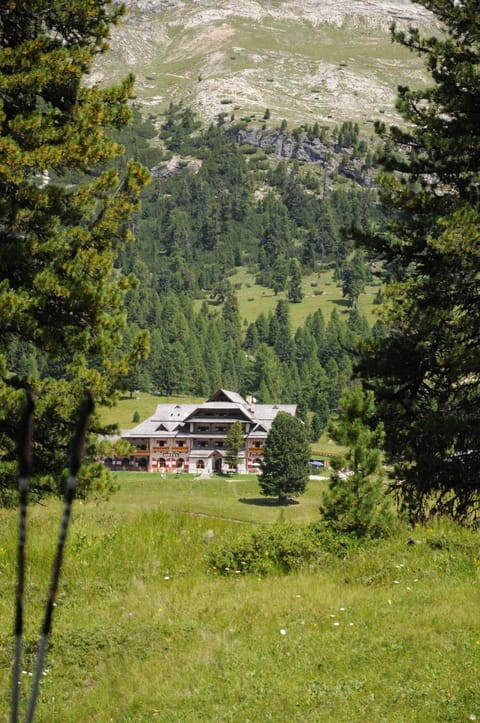 Property building, Day, Natural landscape, Summer