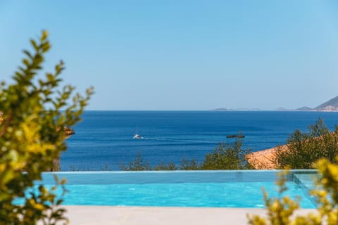 Pool view, Pool view