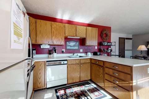 Buffalo Ridge 205 Apartment in Wildernest