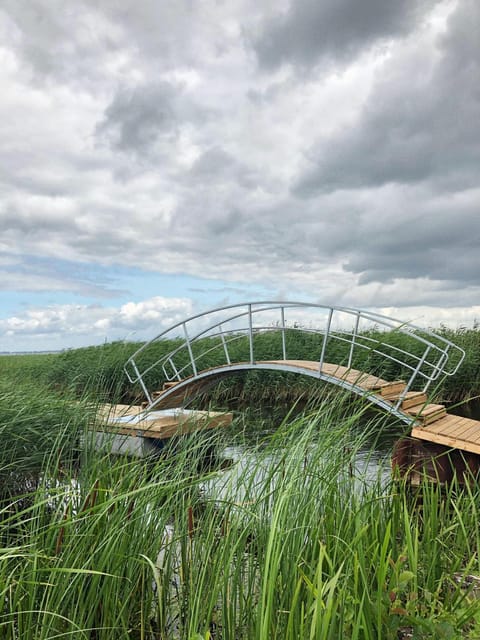 Activities, Other, Beach