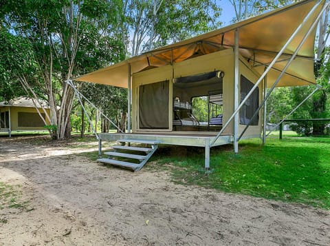Habitat Noosa Luxury tent in Noosa Shire