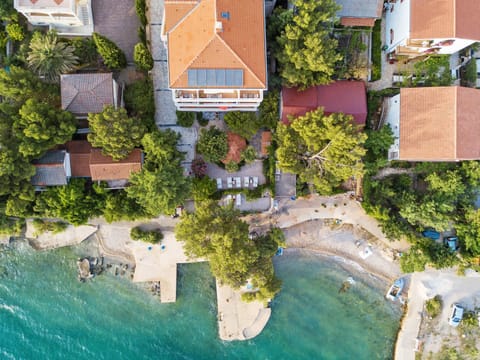 Bird's eye view, Garden, Beach