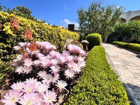 Garden, Garden view