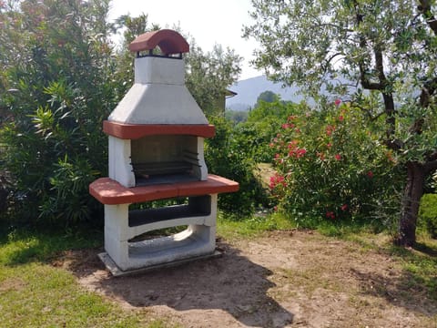 BBQ facilities