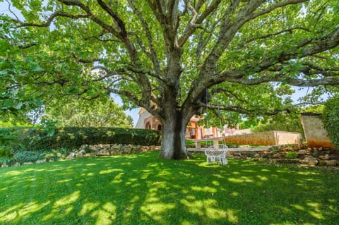 Patio, Garden, Garden view