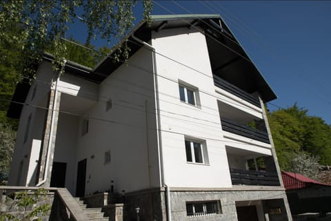 Studio 35 Busteni Wohnung in Brașov County