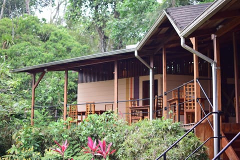 Hamadryade Lodge Lodge nature in Ecuador