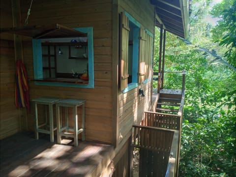 Jungle Paunch Nature lodge in Bocas del Toro Province