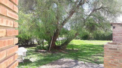 BBQ facilities, Garden