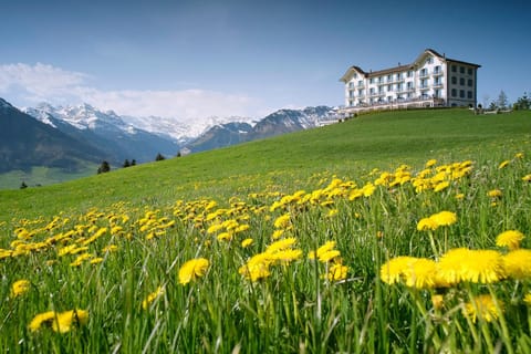 Property building, Natural landscape