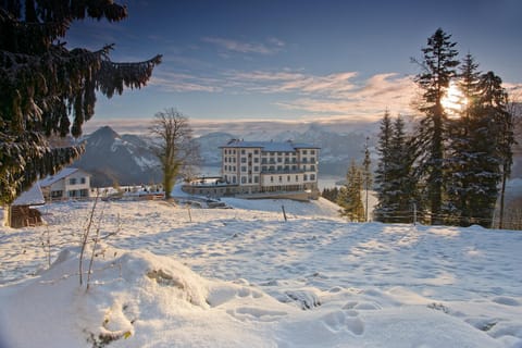 Property building, Natural landscape, Winter