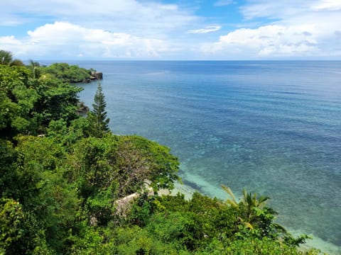 Kookoo's nest eco-lodge Resort in Central Visayas