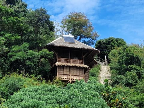 Property building, Natural landscape, Garden