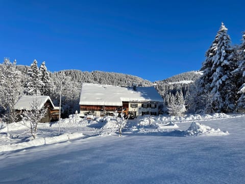 Property building, Day, Natural landscape, Winter, Mountain view