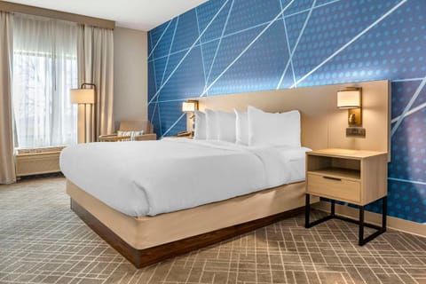 Comfort Inn & Suites Rapid City near Mt Rushmore Hotel in Rapid City