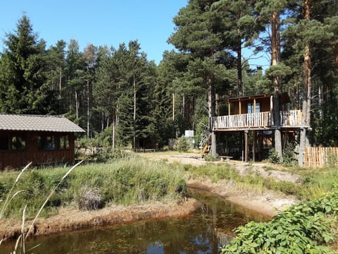 Elulõng Camping Campground/ 
RV Resort in Estonia