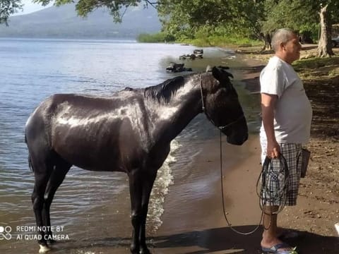 Rosa's Lake Cabins Bed and Breakfast in Nicaragua