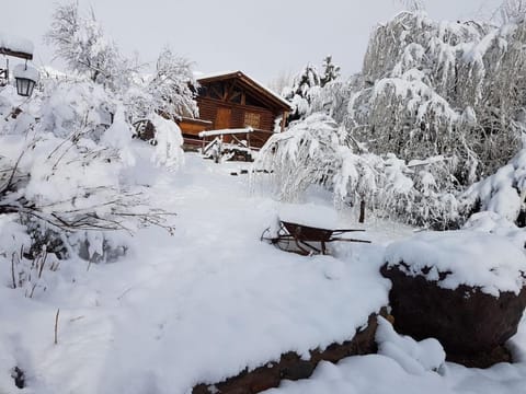 Winter, Garden view