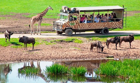 Serengeti Park Resort Resort in Walsrode