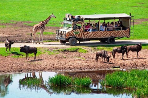 Serengeti Park Resort Resort in Walsrode