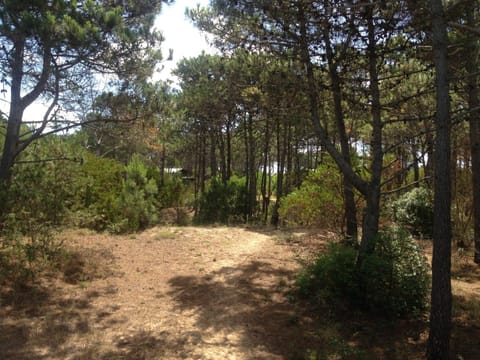 Eco House Via Verde Bed and Breakfast in Rocha Department, Uruguay