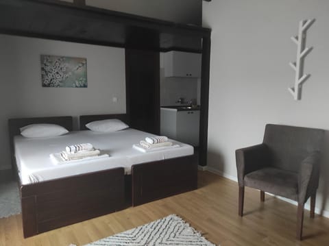 Apartments & Accommodation Stojic Bed and Breakfast in Novi Sad