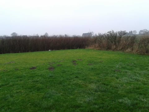 Natural landscape, Other