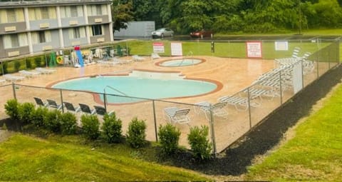 Garden, Garden view, Swimming pool