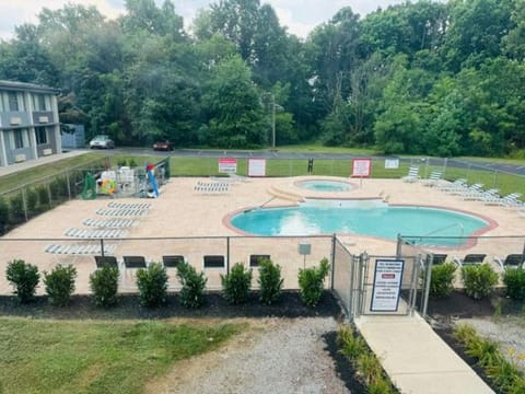 Natural landscape, Garden view, Swimming pool