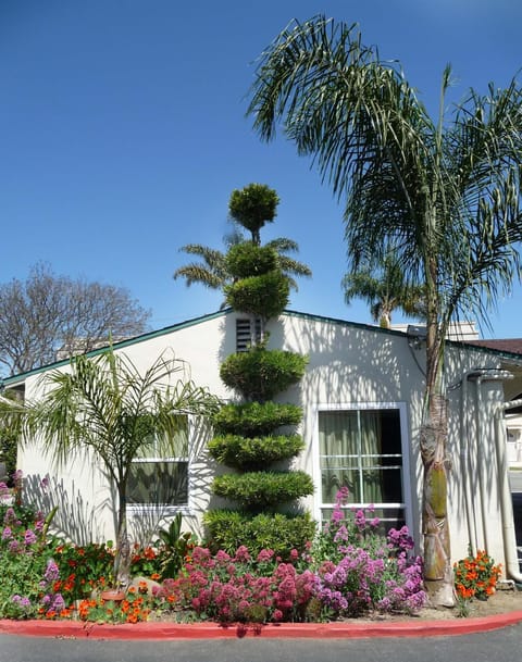 Property building, Garden