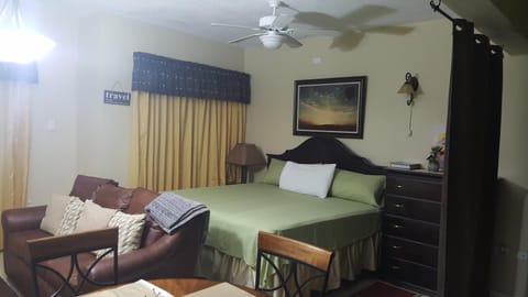 Merrivale Suite Condo in Kingston