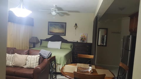Merrivale Suite Condo in Kingston