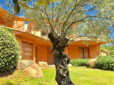 Property building, Day, Garden, Garden view