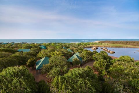 Natural landscape, Bird's eye view, River view, Sea view