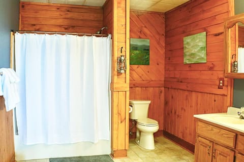The Hive Lodge-with views of the Smokies Nature lodge in Swain County