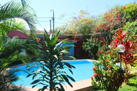 Garden, Garden view, Pool view, Swimming pool