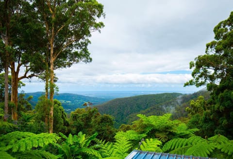 CLOUD 9 - Cliff Top Eagle Heights Maison in Tamborine Mountain